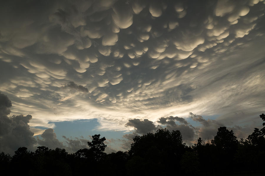 Bizarre Mammatus Clouds in Toronto Photograph by Georgia Mizuleva