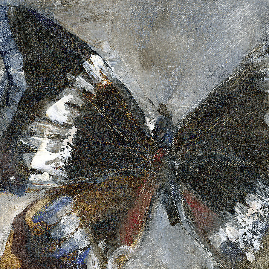 Black and grey butterfly Painting by Wendy Rosselli Pixels