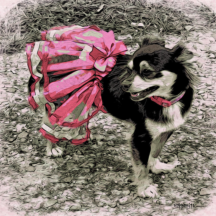 Black and Tan Chihuahua - Little Pink TuTu Photograph by Rebecca Korpita