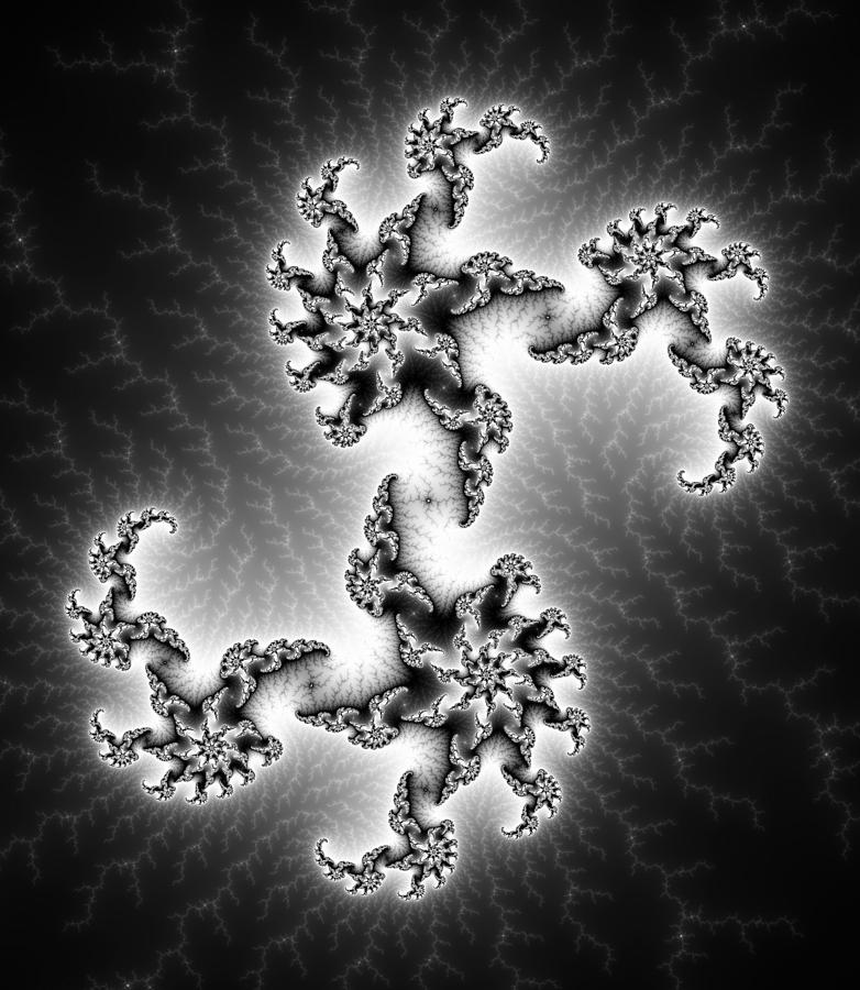 Black and white abstract fractal art Digital Art by Matthias Hauser