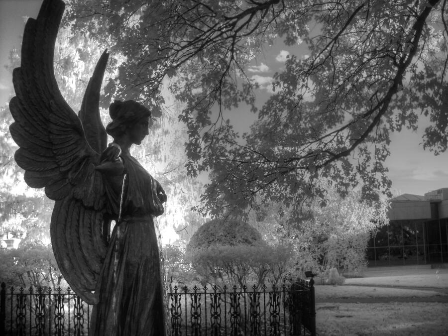 St. Louis Photograph - Black and White Angel by Jane Linders