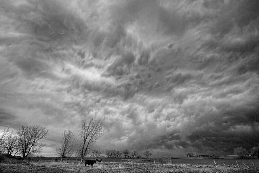 Black and White Angry Skies Photograph by James BO Insogna