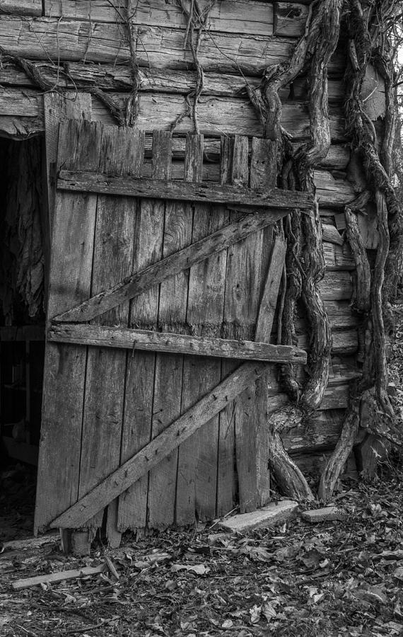 Barn Photograph - Black and White Barn Door by Amber Kresge
