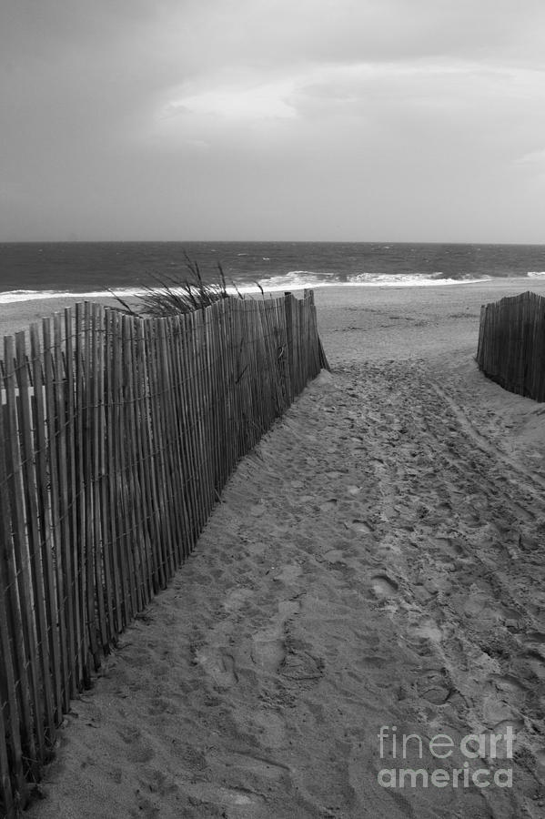 Black And White Beach Scene Photograph by Arlene Carmel