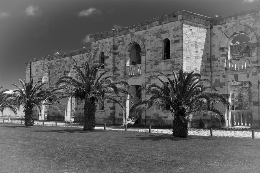 Black And White Building Photograph