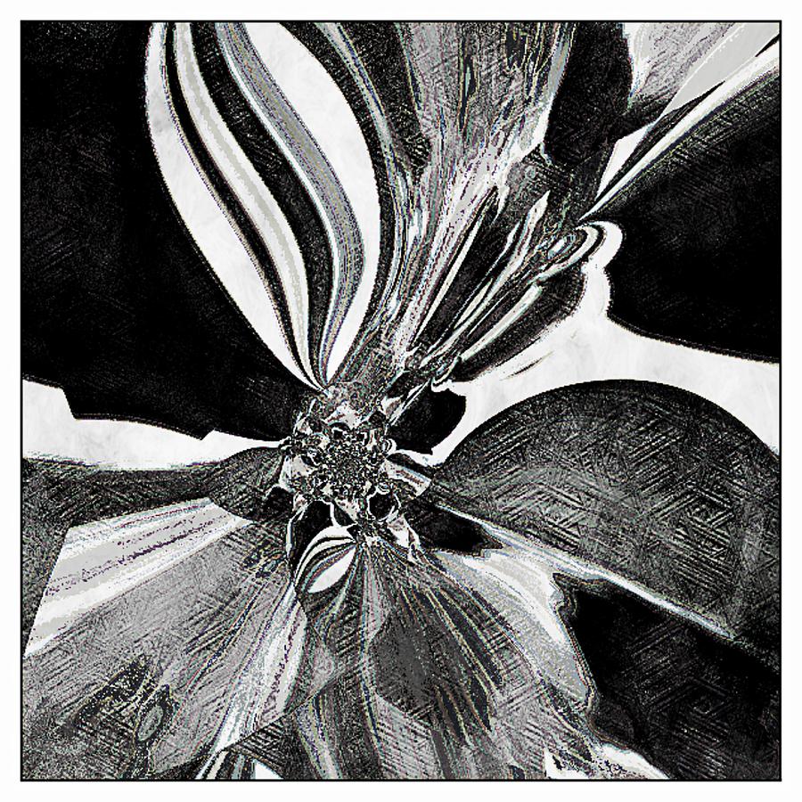 Black and White Cantaloupe Abstract Digital Art by Lynda Payton
