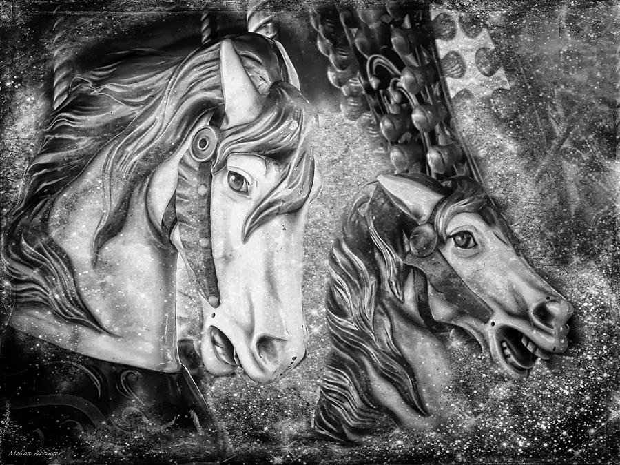 Black and White Carousel Horses Photograph by Melissa Bittinger