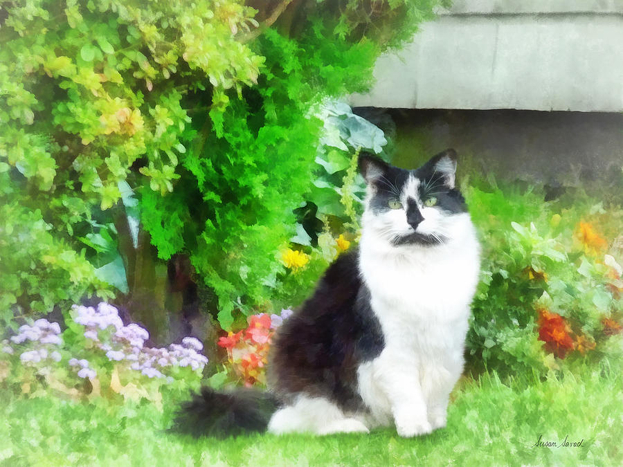 Black and White Cat by Flowers Photograph by Susan Savad