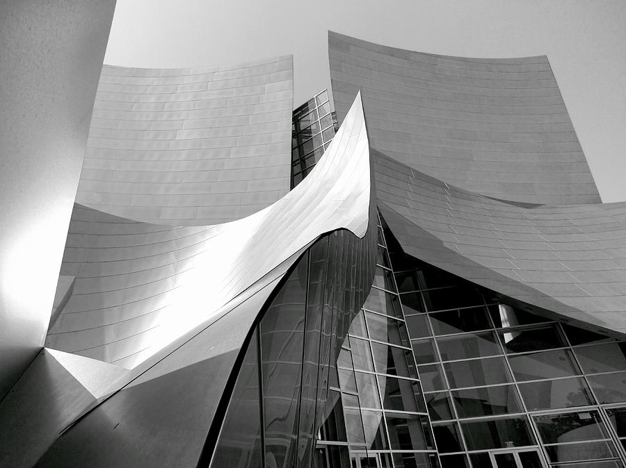 Black and White Curves Photograph by Jenny Hudson