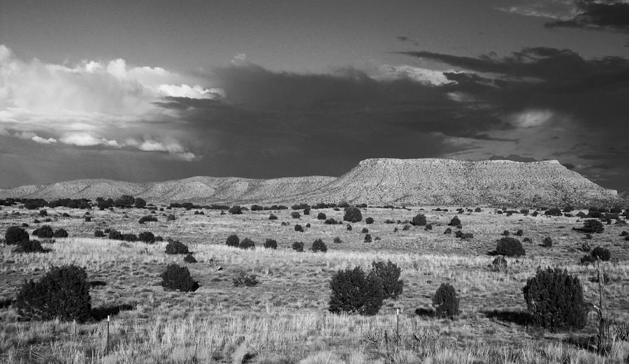 Black and white desert Photograph by Valerie Loop - Fine Art America