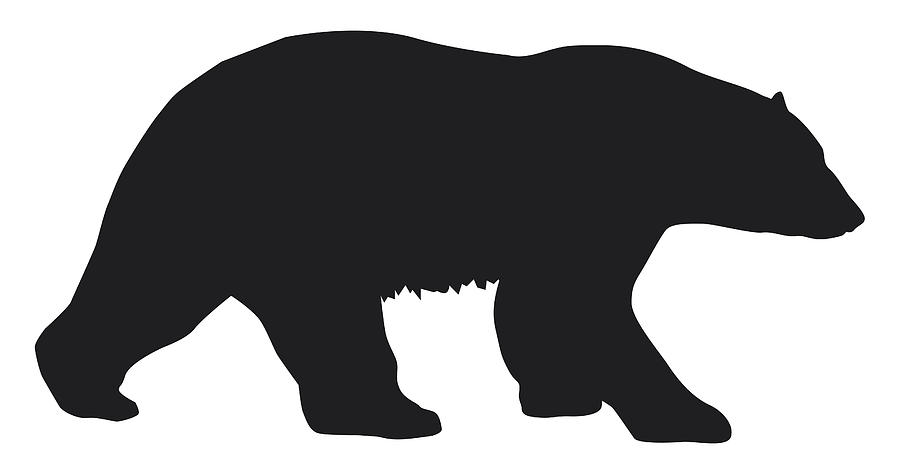 Black and white digital illustration of Polar Bear (Ursus maritimus) Drawing by Dorling Kindersley