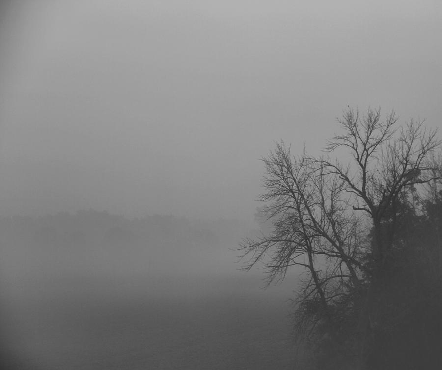 Black And White Fog Photograph by Dan Sproul