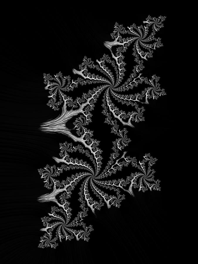 Black and white fractal spirals Digital Art by Matthias Hauser | Fine ...