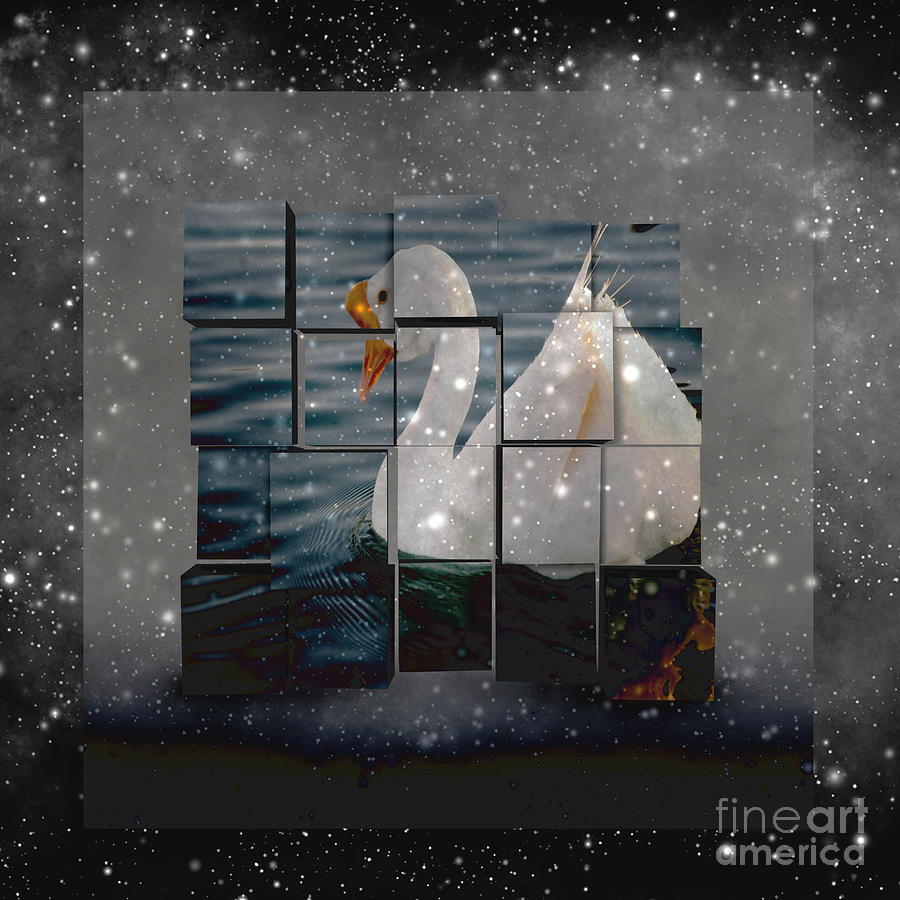 Swan Mixed Media - Black and White Goose Artwork by Beverly Guilliams