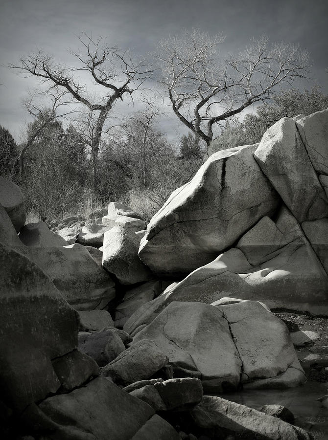 Black and White Granite Canyon Photograph by Aaron Burrows
