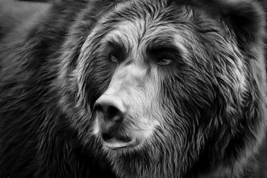 Yellowstone National Park Photograph - Black and White Grizzly Bear by Athena Mckinzie