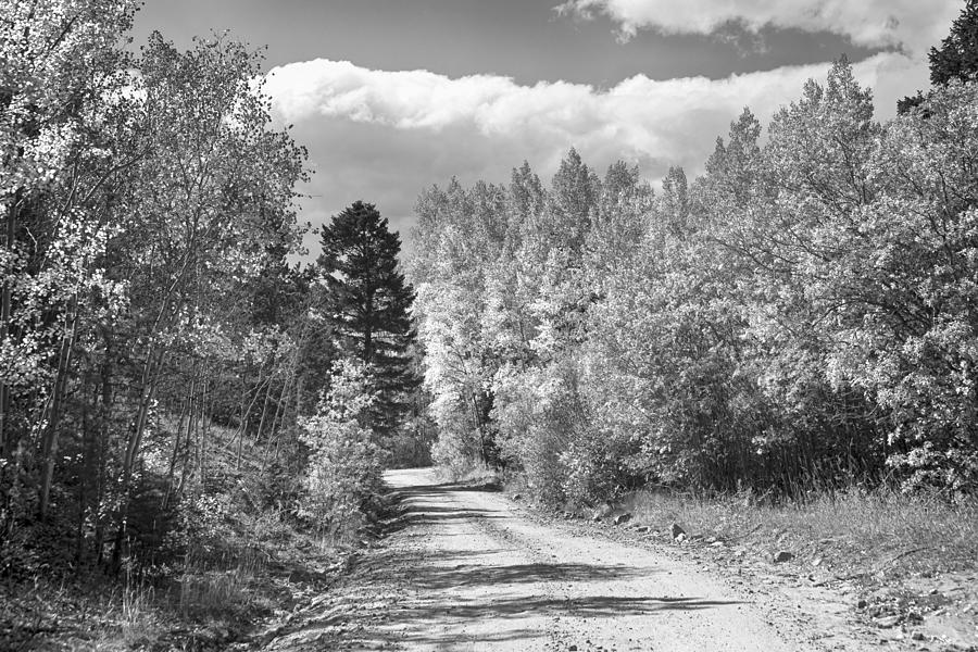 Black and White High Elevation Rocky Mountain 4 Wheeling Dirt Ro Photograph by James BO Insogna