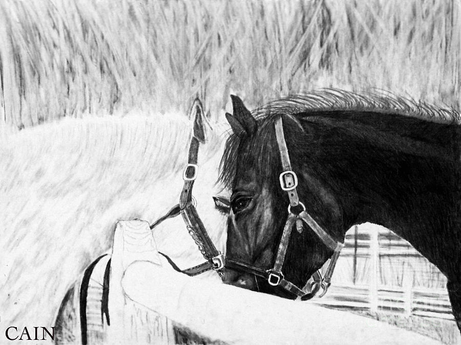 horse black and white art