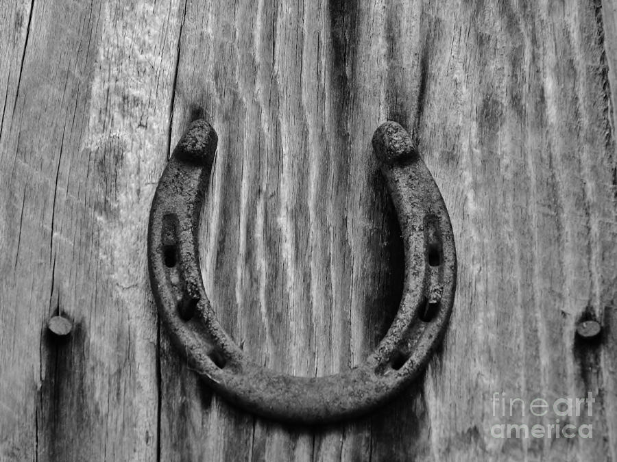 Black and White Lucky Horseshoe Photograph by D Hackett