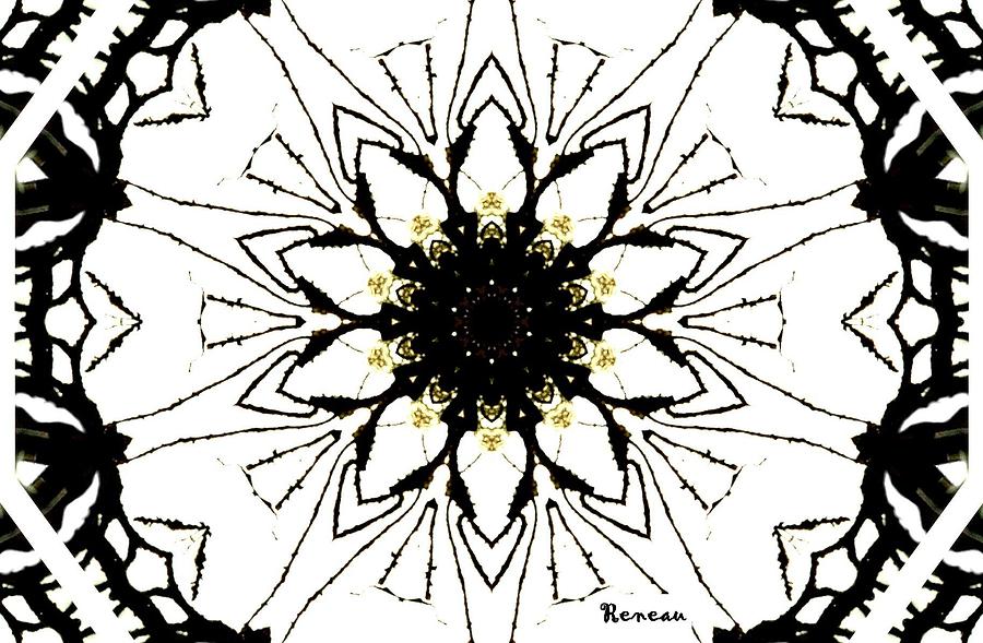 BLACK and WHITE KALEIDOSCOPE Photograph by A L Sadie Reneau