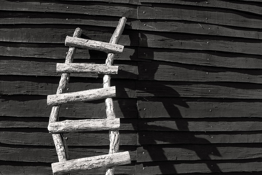 Black and White Ladder Photograph by Don Johnson