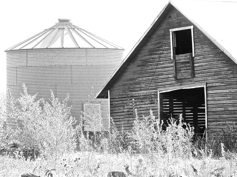 Black and White Nebraska Barn Photograph by Christine Belt