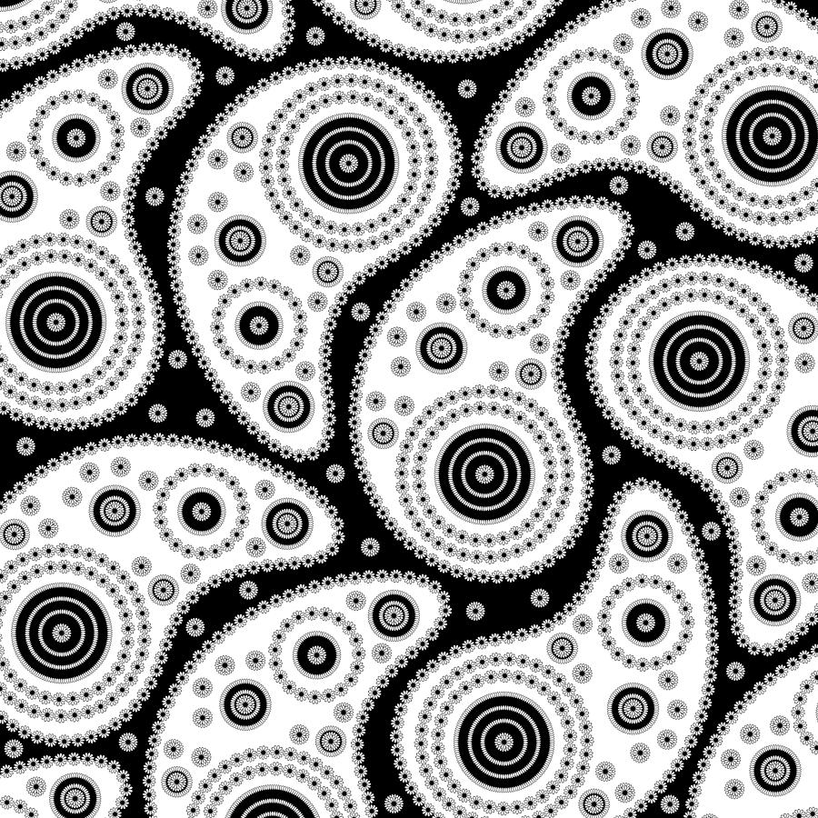 Black And White Drawing - Black And White Paisley by Frank Tschakert