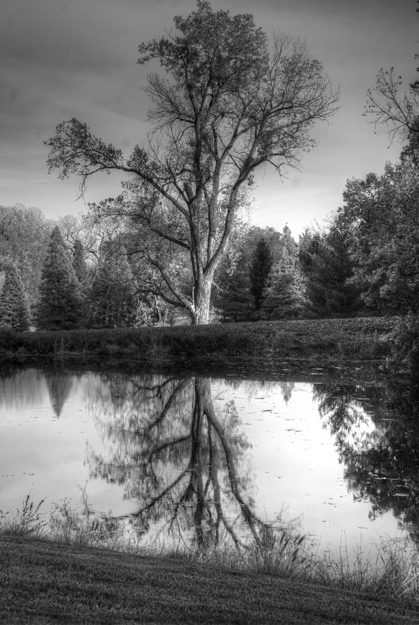 Black and White Reflections Photograph by Dimitry Papkov