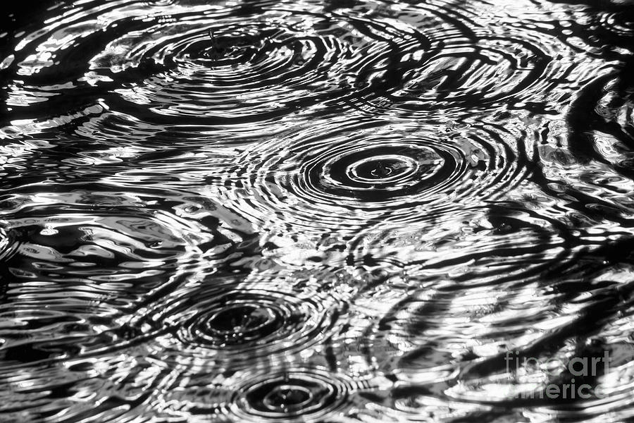 Black and White Ripples Photograph by Diane Macdonald