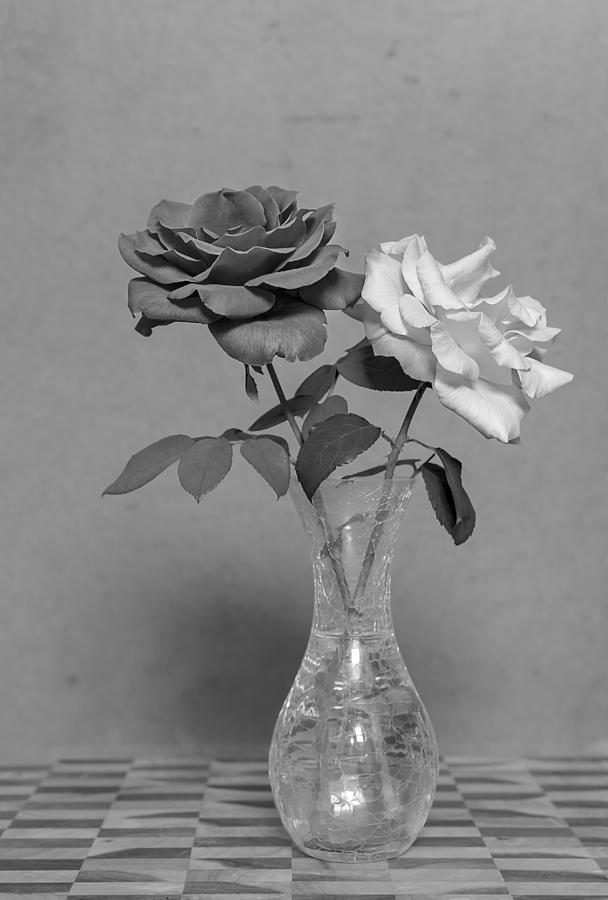 Black And White Photograph - Black and White Rose flowers on Grunge Background by Sheryl Caston