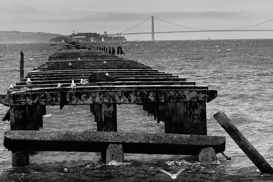 Walkway To Alcatraz? Photograph