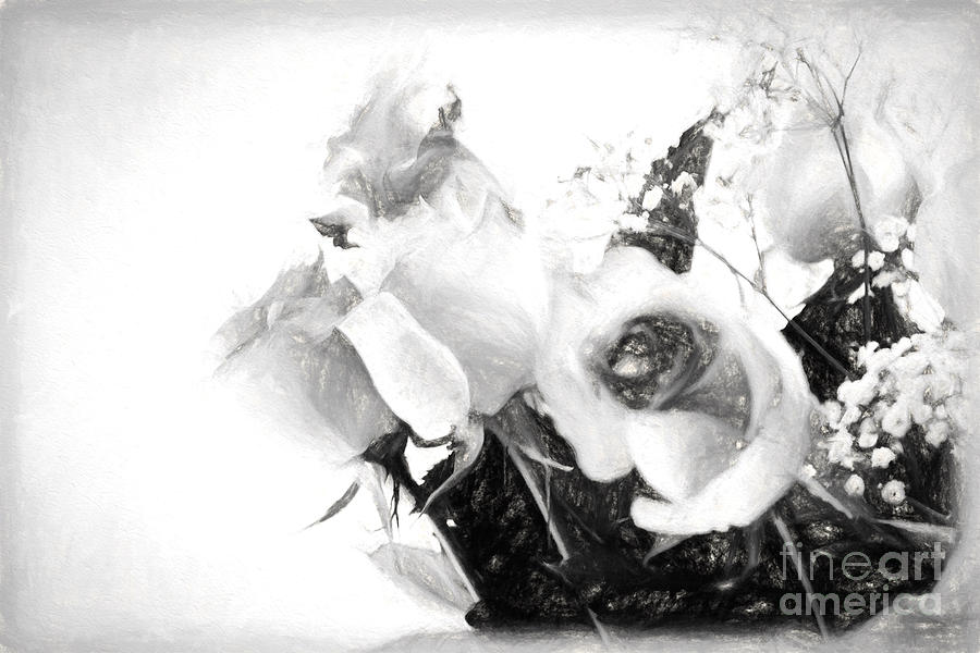 Black and White Soft Roses Photograph by Sandra Clark
