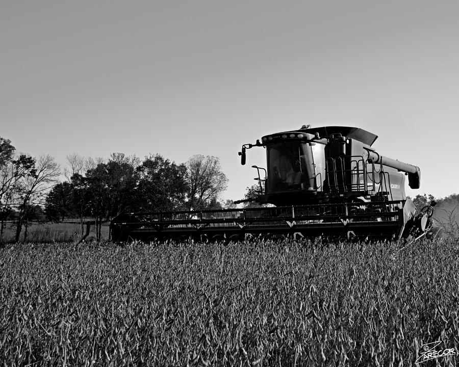 Black and White Soybeans Photograph by David Zarecor