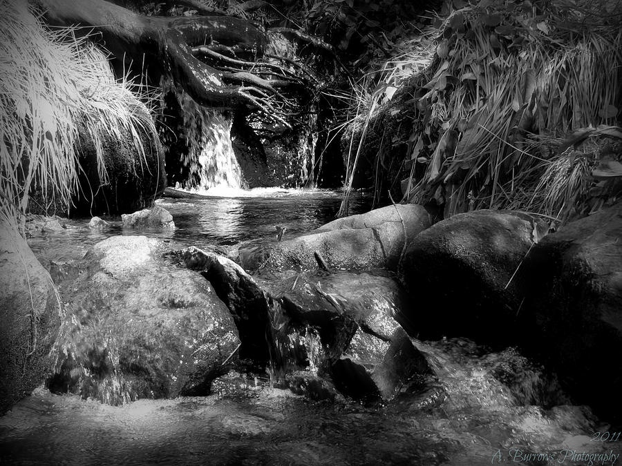 Black and White Stream Pools Photograph by Aaron Burrows