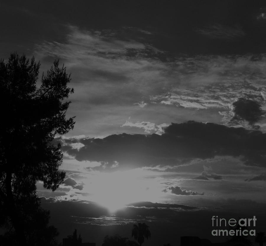 Tree Photograph - Black and white sunset by Theresa Davis
