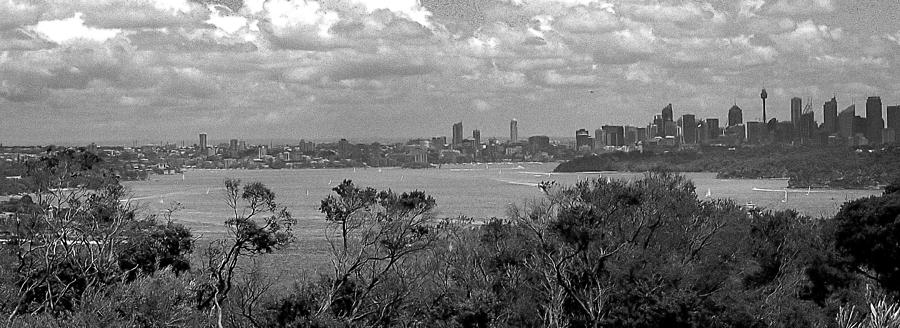 Black and white Sydney Photograph by Miroslava Jurcik
