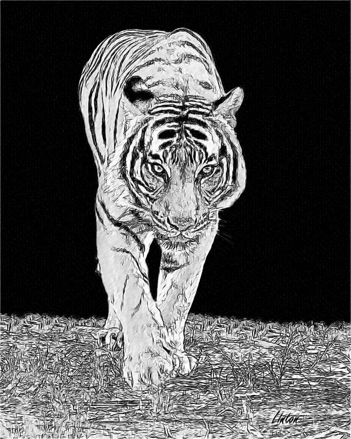 Black-and-white Tiger Digital Art by Larry Linton