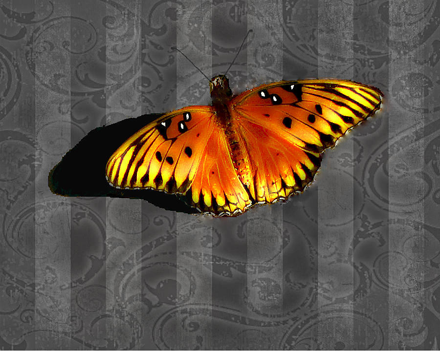 Butterfly Digital Art - Black and White Vibrance by Brandy Nicole Stenstrom
