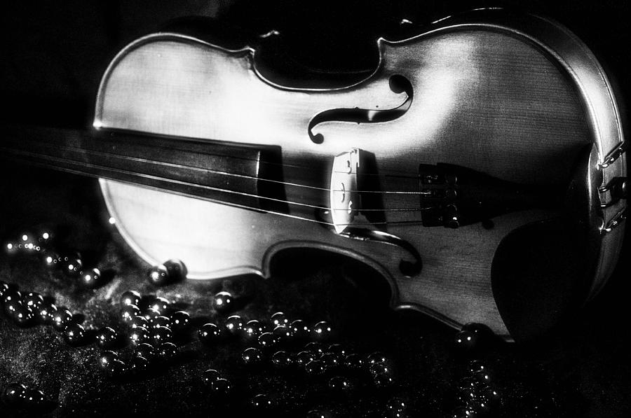 Black and white Violin Photograph by Gerald Kloss