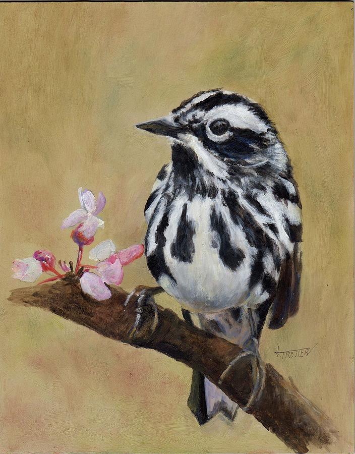 Nature Painting - Black and White Warbler by Jimmie Trotter