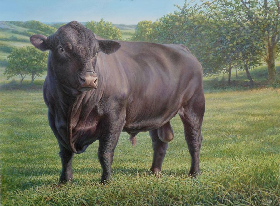 Cow Painting - Black Angus Bull 2 by Hans Droog