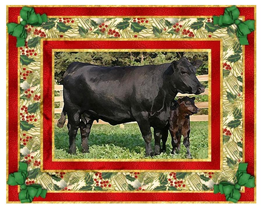 Black Angus Cow And Calf Blank Christmas Greeting Card Painting by Olde Time  Mercantile