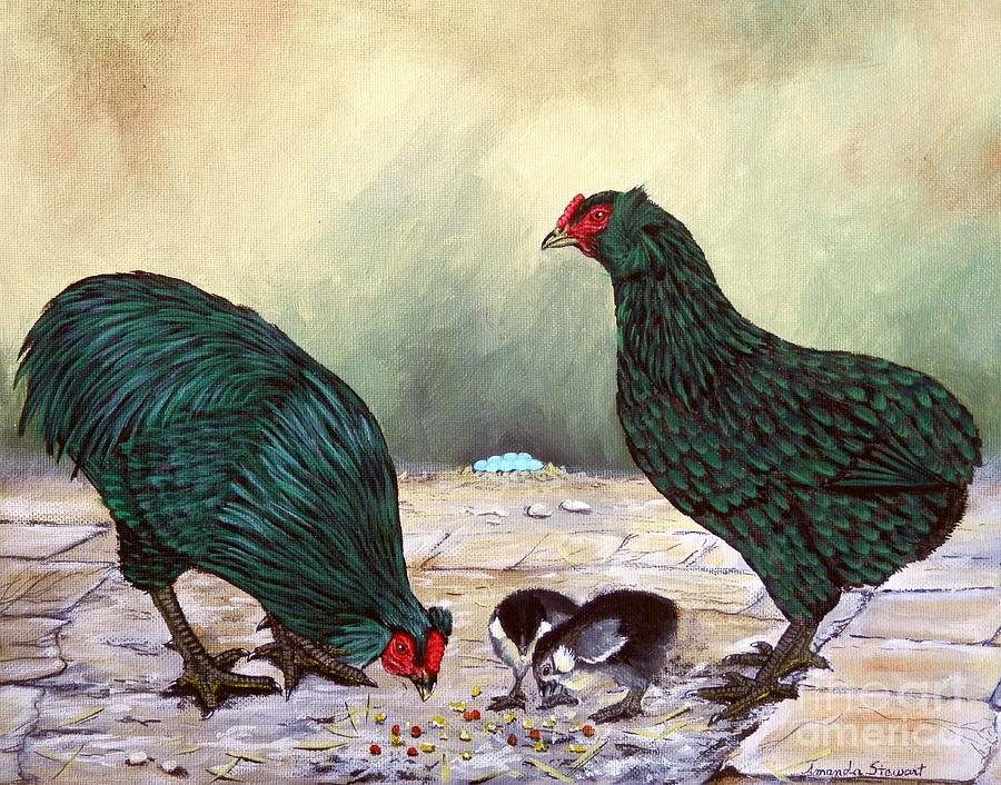 Rooster Painting - Black Araucana SOP by Amanda Hukill