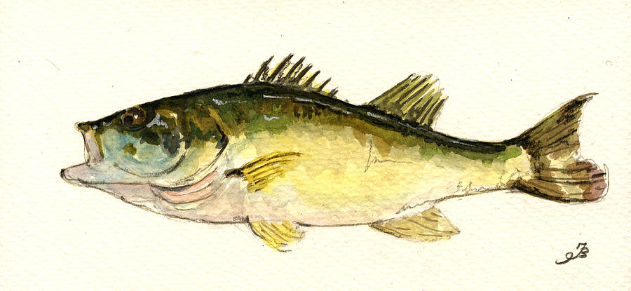 Bass Painting - Black bass fish by Juan  Bosco