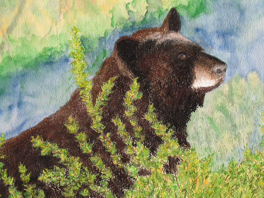 Black Bear At Yellowstone Painting by Patricia Beebe