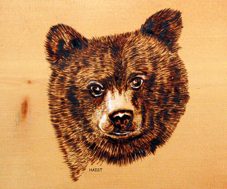 Black Bear Cub Pyrography by Ron Haist