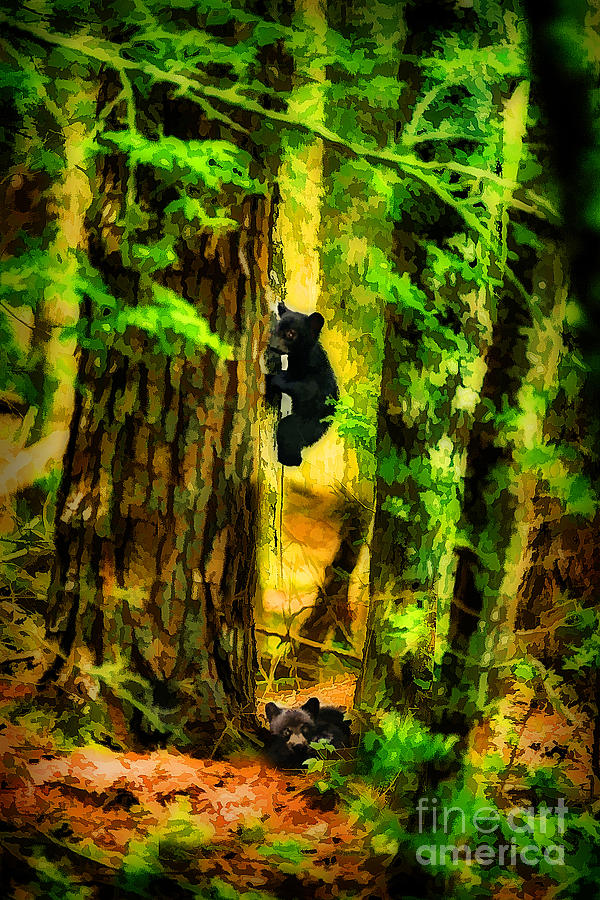 Black bear cubs playing in woods artistic Photograph by Dan Friend