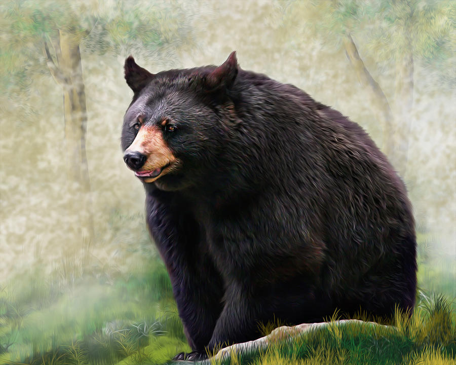 Black Bear Painting by Mary Almond