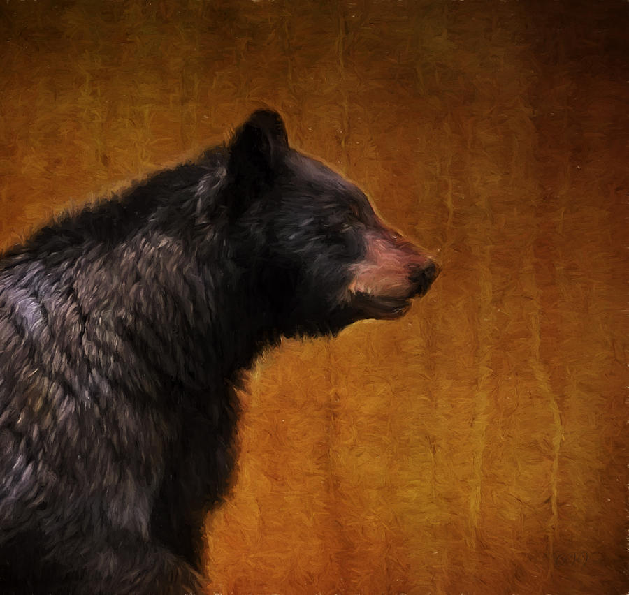 Wildlife Photograph - Black Bear Portrait Painterly by Clare VanderVeen