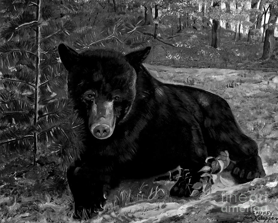 Black Bear - Scruffy - Black and White Painting by Jan Dappen